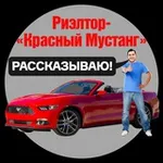 Аватар канала Решэлторъ Красный Мустанг | Блог Алексея Калашникова