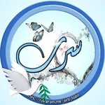 Аватар канала ✨ سـ 🕊️ ـرب ✨