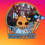 Аватар канала Однажды в Вельске