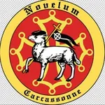 Аватар канала Novelum_Carcassonne