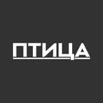 Аватар канала Птица | Медиа из Сибири