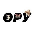 Аватар канала оруіору