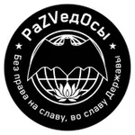 Аватар канала раZVедОсы