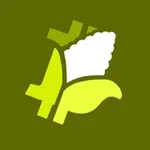 Аватар канала BitKorn