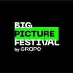 Аватар канала Big Picture Festival