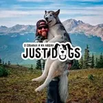 Аватар канала Just Dogs