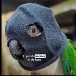 Аватар канала Папук поцупив 🦜