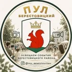 Аватар канала Пул Берестовицкий