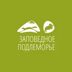 Аватар канала Заповедное Подлеморье