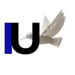 Аватар канала IU&SU Global