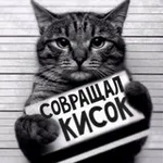 Аватар канала 🄺 🄾 🅃 🄴 🐾 🄿 🄰 🅁 🅃 🅈