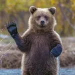 Аватар канала КРАСИВЫЕ КАДРЫ
