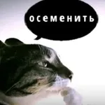 Аватар канала Eska