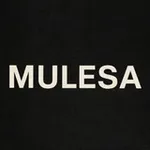 Аватар канала mulesa