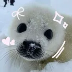 Аватар канала НАБОР АДМИНОВ. • ⊹ / Seals confession \ ⊹ • .