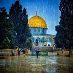 Аватар канала الحيآة حلوة