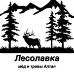 Аватар канала ЛЕСОЛАВКА 🍯 Натуральный мёд 🍯