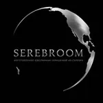 Аватар канала SEREBROOM