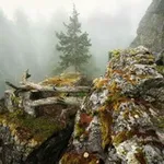 Аватар канала Урал-Хурал
