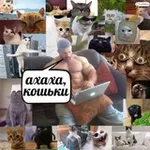 Аватар канала Мемовое хранилище