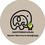 Аватар канала «Заботливая Альфа» - проект поддержки родителей от Института Ньюфелда