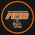 Аватар канала Лига студенческой борьбы