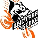 Аватар канала Шустрая Белка Новости.