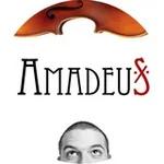Аватар канала Amadeus