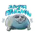 Аватар канала Життя з приколами 🦭