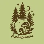 Аватар канала Дивнолесье - Керамика