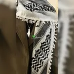 Аватар канала 𓂆 💚 الأسـيـل