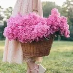 Аватар канала عـطـر الـورد 💖