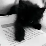 Аватар канала Лексунчик