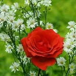Аватар канала 💡 🍃 نشر الخير للغير 🍃 💡