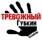 Аватар канала Тревожный Губкин