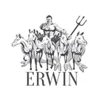Аватар канала ERWIN.РАППОПОРТ