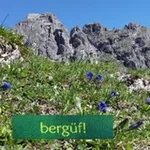 Аватар канала bergüf! 🏔 🧵 ✨️