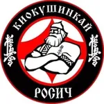 Аватар канала Школа Каратэ «РОСИЧ» 🥋