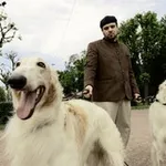 Аватар канала Поэт Лёша Виниченко