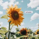 Аватар канала ترياق | ᴛᴇʀʏᴀɢ 💛 ✨
