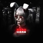 Аватар канала DARK 🇾🇪