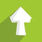 Аватар канала FUNGI studio NEWS