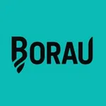 Аватар канала BORAU