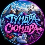 Аватар канала Тундра-Сюндра