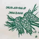 Аватар канала КУЗБАССТРЕЙЛ
