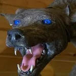 Аватар канала Chupacabra Kennel