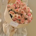 Аватар канала أثـر 🌿 🕊️