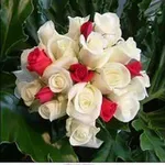Аватар канала مُنْ ڪلُ بُسّتّأِنْ زّهّرًة 🌷