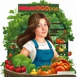 Аватар канала ℳℴนᶄОℾО℘ℴℊ