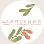 Аватар канала шиповник ⚘
